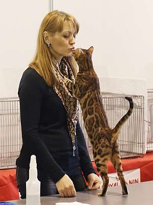 �������� �����  18-19 ������� 2014 ������������ ��� 169A3946 copy.jpg